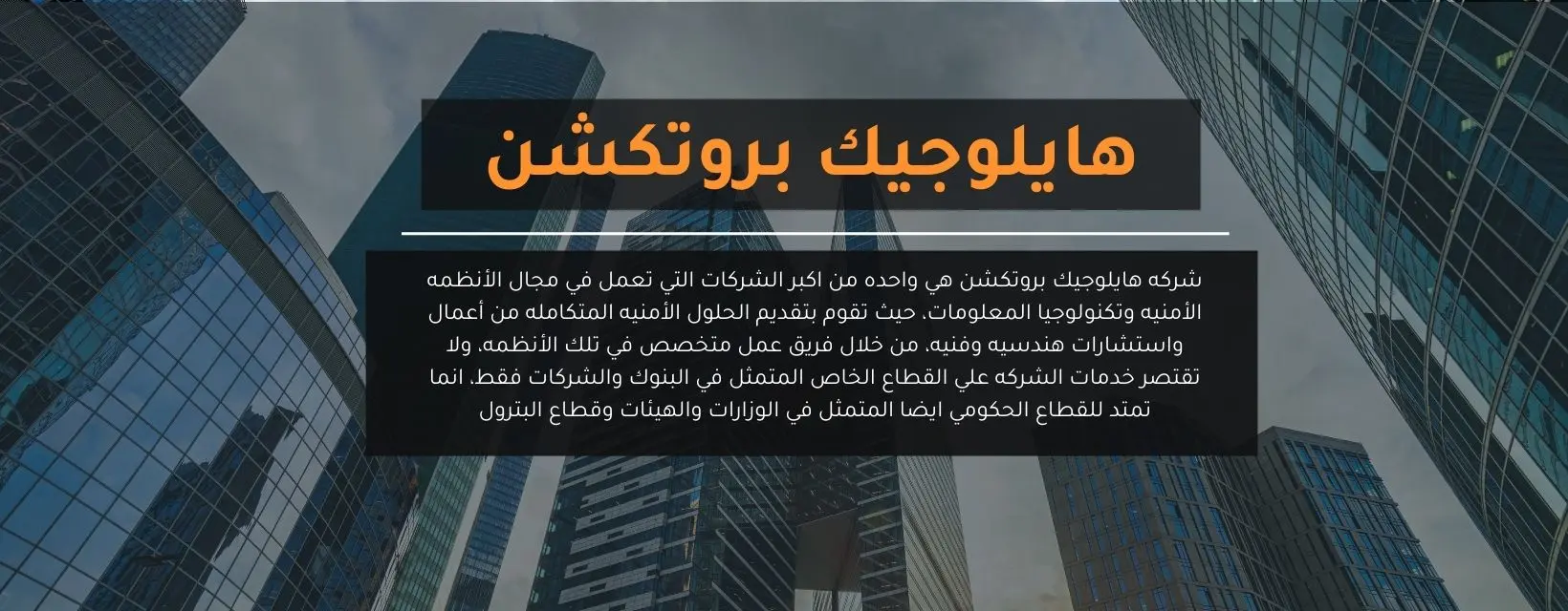 عن الشركة